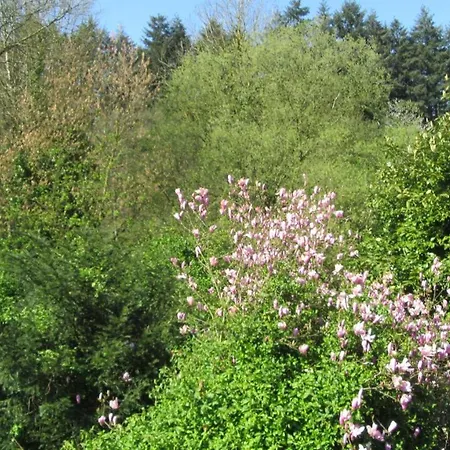 D'hotes De La Templerie-moulin לינה וארוחת בוקר